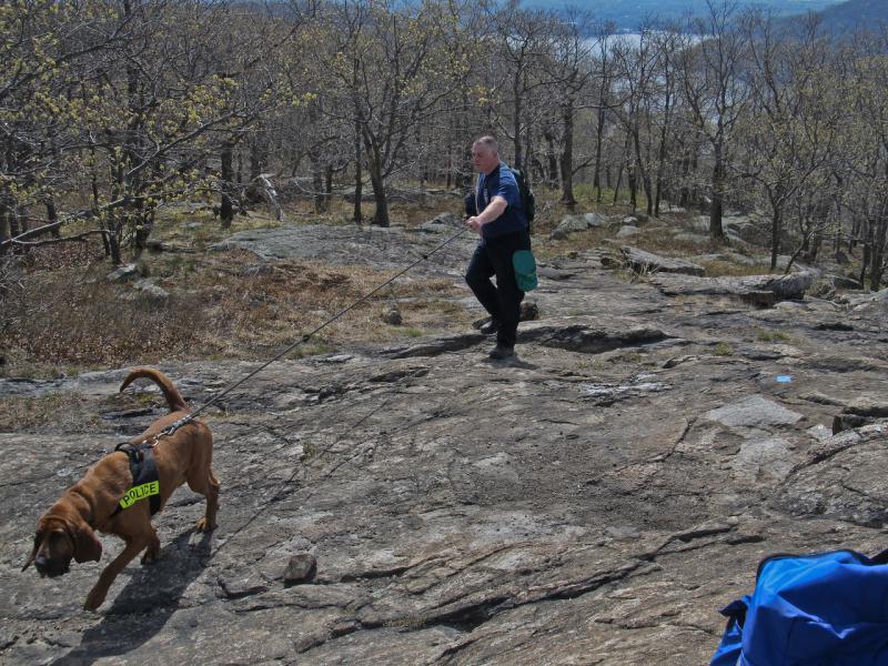 4-14-12 Lost Hiker Drill