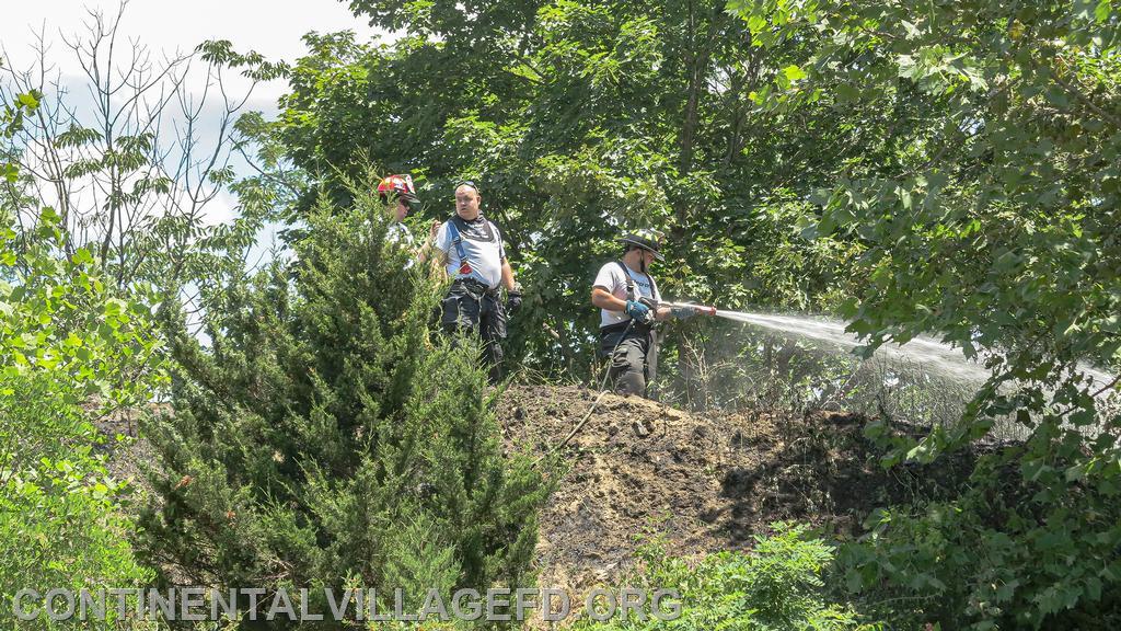 6-20-2020 Brush Fire, Roa Hook Road